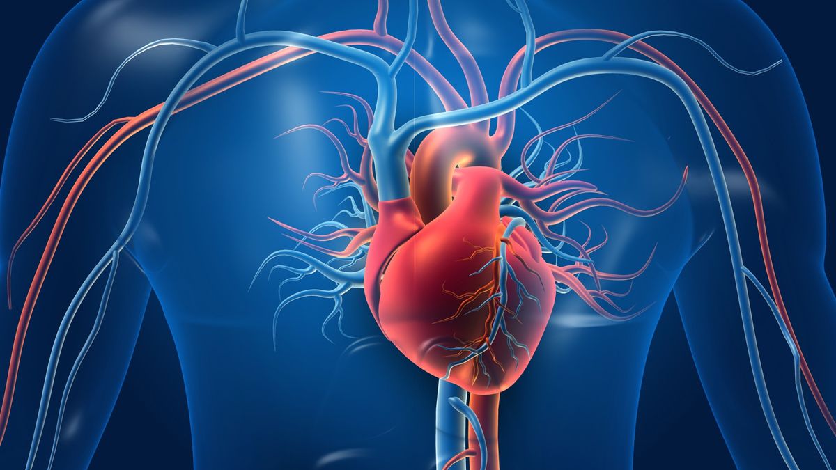 Understanding Coronary Heart Disease: A Guide from Gayaza Hospital